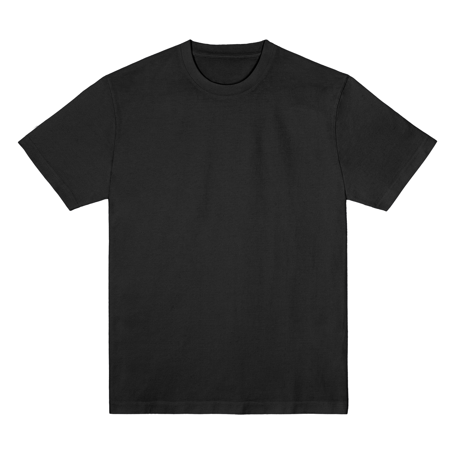 Classic T-Shirt 270gsm - 2
